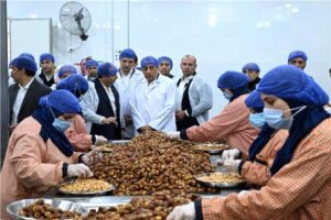 مدبولي: التوسع في صناعة التمور يدعم السوق المحلية والأسواق العالمية