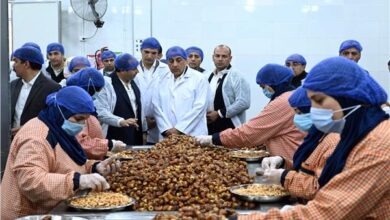 مدبولي: التوسع في صناعة التمور يدعم السوق المحلية والأسواق العالمية