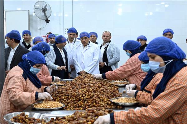 مدبولي: التوسع في صناعة التمور يدعم السوق المحلية والأسواق العالمية