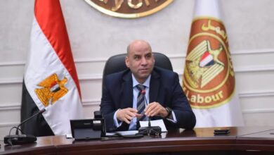 وزير العمل :الاثنين المُقْبل إجازة رسمية مدفوعة الأجر للعاملين بالقطاع الخاص بمناسبة عيد شمّ النسيم