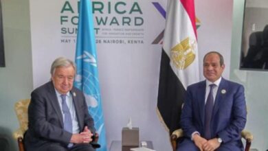 الرئيس السيسي يعرب عن تقدير مصر لجهود "جوتيريش" وقيادته لمنظومة العمل الأممي 