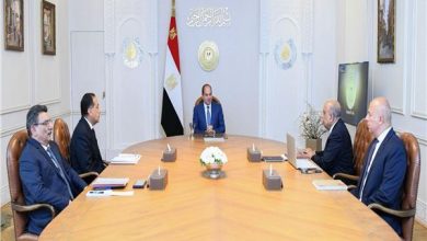 الرئيس السيسي: ضرورة التوسع في مشروعات الطاقة الجديدة والمتجددة وخفض الاعتماد على الوقود التقليدي 