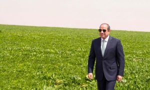 الرئيس السيسي: "الدلتا الجديدة" مشروع تنموي ضخم تكلفته تزيد عن 800 مليار جنيه 