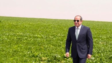الرئيس السيسي: "الدلتا الجديدة" مشروع تنموي ضخم تكلفته تزيد عن 800 مليار جنيه 