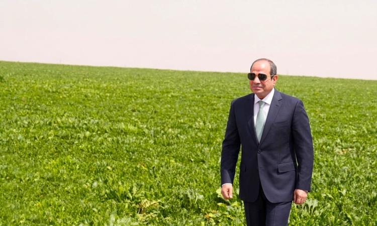 الرئيس السيسي: "الدلتا الجديدة" مشروع تنموي ضخم تكلفته تزيد عن 800 مليار جنيه 