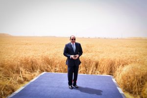 من صحراء.. إلى سلة غذاء عملاقة..وزير الزراعة: الدلتا الجديدة توفر ملايين الأطنان من القمح والذرة والسكر 