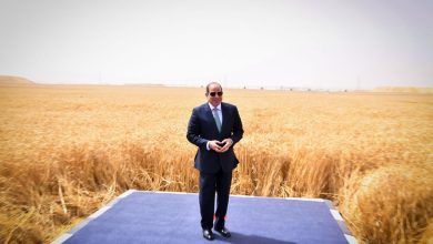 من صحراء.. إلى سلة غذاء عملاقة..وزير الزراعة: الدلتا الجديدة توفر ملايين الأطنان من القمح والذرة والسكر 