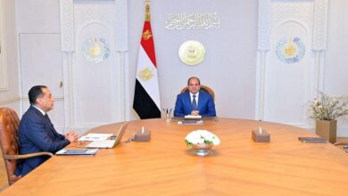 الرئيس السيسي يؤكد ضرورة تغطية احتياجات الدولة من السلع الاستراتيجية لمدد كافية 