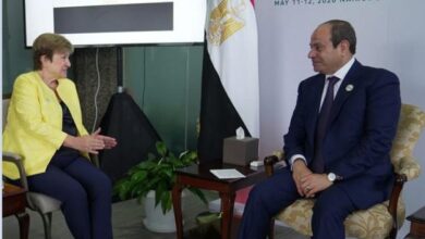 الرئيس السيسي يعرب عن تقدير مصر للتعاون المثمر مع صندوق النقد الدولي 