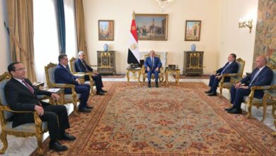خلال استقباله رئيس مجموعة بنك التنمية الإفريقي الرئيس السيسي يؤكد على أهمية مشروعات البنية الأساسية للقارة الإفريقية 