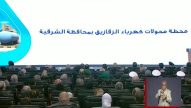 الرئيس السيسي يفتتح 4 مشروعات جديدة عبر الفيديو كونفرانس خلال احتفالية عيد العمال 