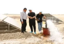 محافظ الوادي الجديد: فتح باب التقديم لمشروع الواحات الخضراء بعد إجازة عيد الأضحى 