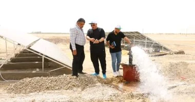 محافظ الوادي الجديد: فتح باب التقديم لمشروع الواحات الخضراء بعد إجازة عيد الأضحى 