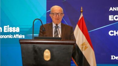 نائب رئيس الوزراء: تحول جذري في فلسفة إدارة الشركات المملوكة للدولة المرحلة المقبلة