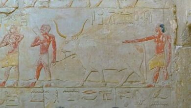 طقوس الذبح في مصر القديمة ..بقلم هاجر الهوارى باحثة فى التاريخ المصرى القديم