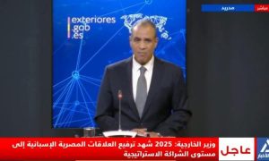 وزير الخارجية: العلاقات بين مصر وإسبانيا شهدت تطورا هاما العام الماضي 