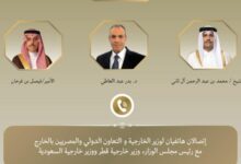 وزير الخارجية يبحث مع نظيريه السعودي والقطري التطورات الإقليمية 