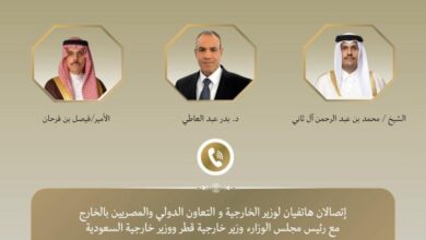 وزير الخارجية يبحث مع نظيريه السعودي والقطري التطورات الإقليمية 