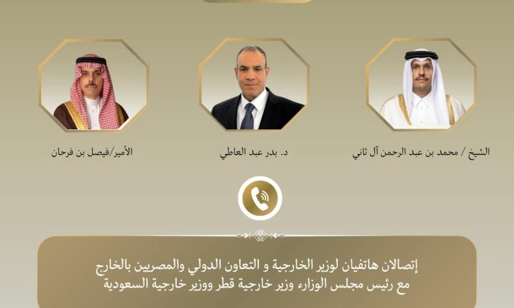 وزير الخارجية يبحث مع نظيريه السعودي والقطري التطورات الإقليمية 