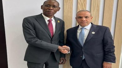 وزير الخارجية يشيد بالزخم المتنامي للعلاقات المصرية-السنغالية 