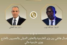 وزير الخارجية يؤكد تضامن مصر مع مالي ويجدد إدانة الهجمات الإرهابية 