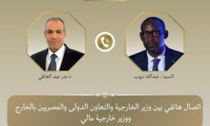 وزير الخارجية يؤكد تضامن مصر مع مالي ويجدد إدانة الهجمات الإرهابية 