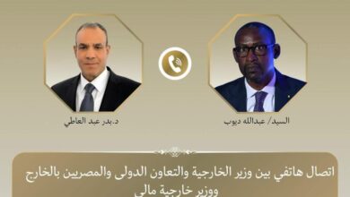 وزير الخارجية يؤكد تضامن مصر مع مالي ويجدد إدانة الهجمات الإرهابية 