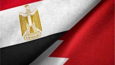 مصر تعرب عن تضامنها مع مملكة البحرين الشقيقة وتدعم إجراءاتها لحماية أمنها 