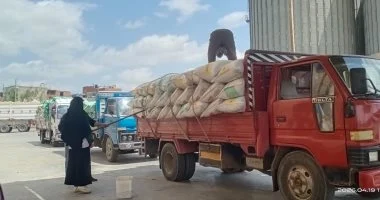 محافظ سوهاج: توريد 145 ألفا و13 طن قمح للصوامع ومراكز التجميع منذ بداية الموسم