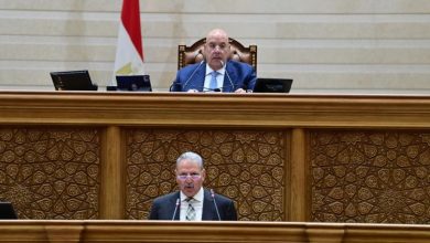 رئيس"النواب" يوافق نهائيا على مشروع قانون الأمان البيولوجي ويرفع جلسته لـ 15 يونيو 