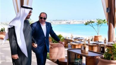 مصر والإمارات ترحبان بوقف الحرب مع إيران وإعادة فتح مضيق هرمز