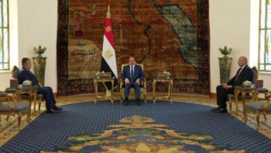 الرئيس السيسي يؤكد دعم مصر لترشيح نبيل فهمي لمنصب أمين عام جامعة الدول العربية