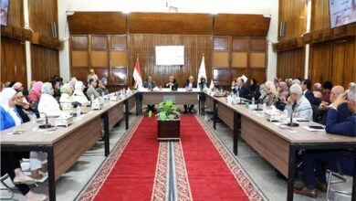 مفتي الجمهورية : العنف الأسري اعتداء يهدد استقرار الأسرة ويقوض أمن المجتمع 