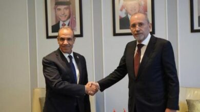 وزير الخارجية ونظيره الأردني يؤكدان ضرورة استكمال خطة "ترامب" بشأن غزة