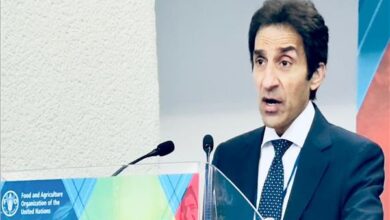 بسام راضي: مصر وإيطاليا محورى الأمن والاستقرار في المتوسط
