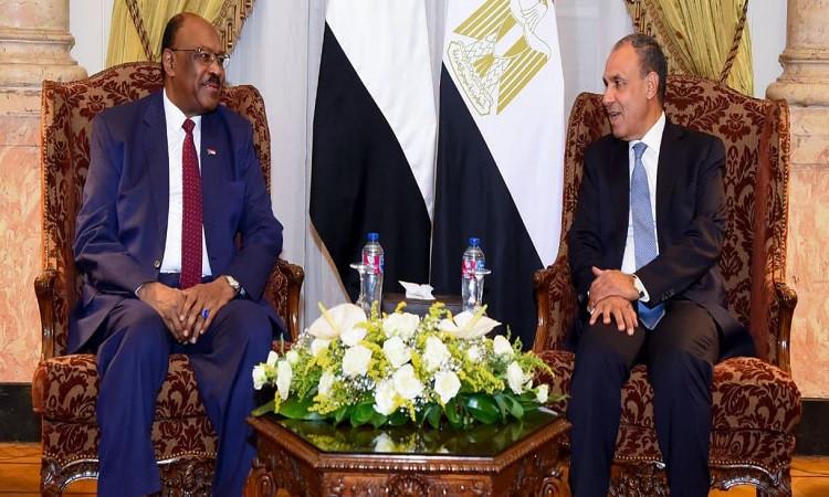 وزير الخارجية يؤكد موقف مصر الثابت الداعم لوحدة السودان وسيادته وسلامة أراضيه 