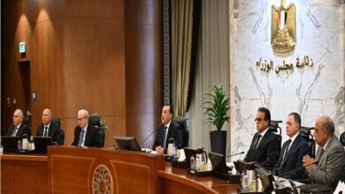 مجلس الوزراء يوافق على مد وقف ضريبة الأطيان الزراعية لمدة عام إضافي