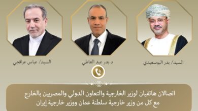 وزير الخارجية يبحث مع نظيريه الإيراني والعماني جهود خفض التصعيد وحرية الملاحة 