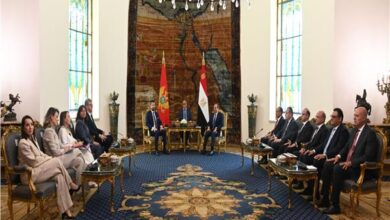 الرئيس السيسي: نجدد رفضنا الكامل للاعتداءات الإيرانية غير المبررة على الدول العربية ويجدد رفض تهجير الفلسطينيين ويؤكد ضرورة إعادة إعمار غزة