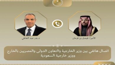 وزير الخارجية يبحث مع نظيره السعودي جهود خفض التصعيد في المنطقة 