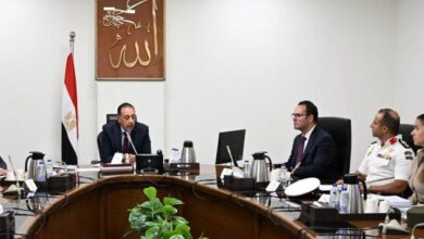 رئيس الوزراء يتابع منظومة التعامل مع ظاهرة الكلاب الضالة