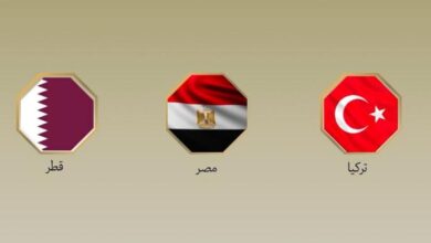 بيان مشترك لمصر وقطر وتركيا يؤكد إدانة الانتهاكات الإسرائيلية المتواصلة في قطاع غزة 