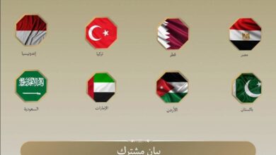 بيان مصري عربي إسلامي يدين رفض إسرائيل لخطة ترامب في قطاع غزة 