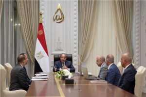 توجهات رئاسية بتنمية التصنيع المحلي لصناعات الرمال السوداء والأسمدة والعناصر النادرة 