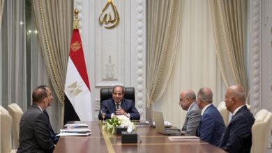 توجهات رئاسية بتنمية التصنيع المحلي لصناعات الرمال السوداء والأسمدة والعناصر النادرة 