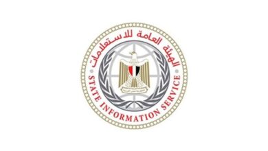 الهيئة العامة للاستعلامات: نتابع باهتمام تغطية الإعلام الأجنبي لحادث دمياط