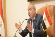 رئيس «الاستعلامات»: مصر انتصرت في معركة الإرهاب ومعركة الوعي تتطلب تكاتف جميع مؤسسات الدولة 