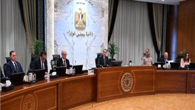 الحكومة توافق على 12 قرارًا ..مدبولي: العمل على تنفيذ التكليفات الرئاسية في احتفالية ذكرى المولد النبوي