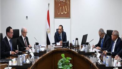 رئيس الوزراء يتابع مستجدات الموقف التنفيذي لمشروعات تطوير الشركة القابضة للغزل والنسيج 