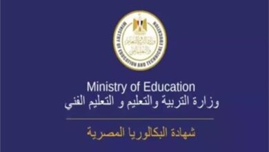 حرب أكتوبر والقضية الفلسطينية وقمة شرم الشيخ.. أبرز محطات منهج التاريخ الجديد للبكالوريا 